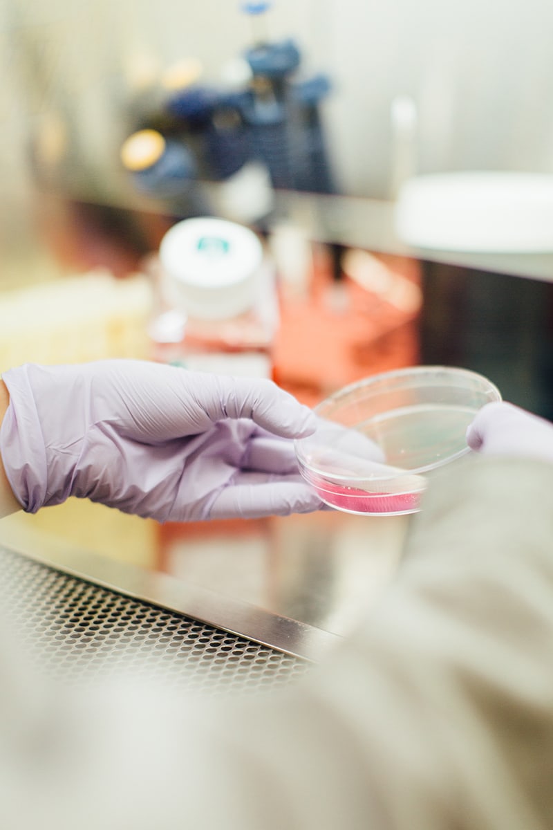 Biotech-3.jpg
